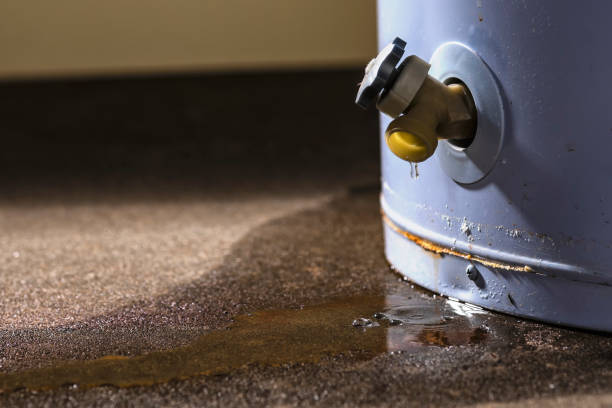 Best Sewage cleanup and water damage restoration  in Montpelier, VT