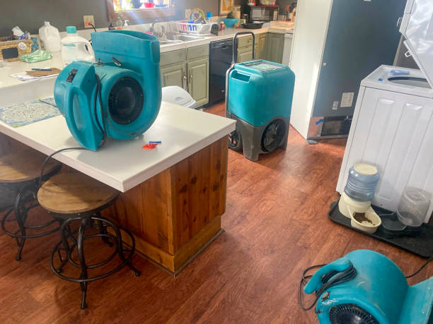 Best 24/7 water damage repair  in Montpelier, VT