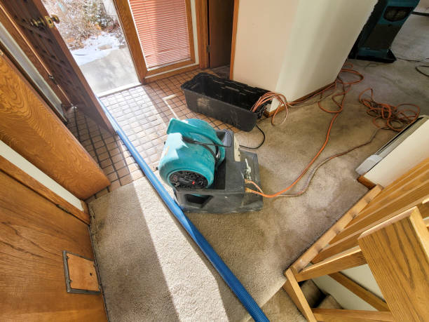 Best Mold removal after water damage  in Montpelier, VT