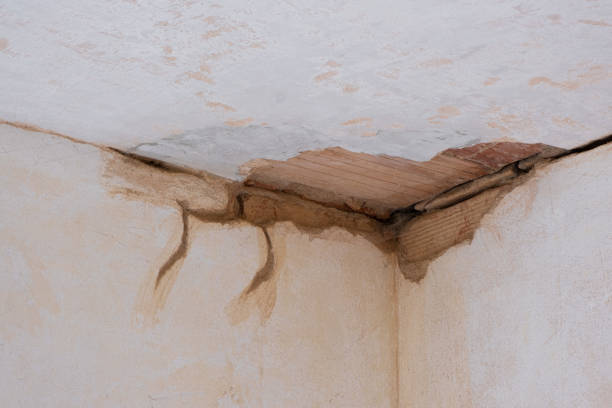  Montpelier, VT Water damage restoration Pros
