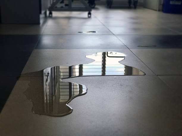 Best Professional water damage repair  in Montpelier, VT