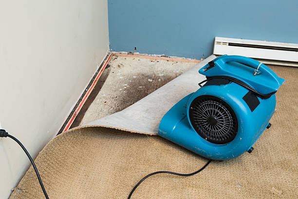 Best Flood damage cleanup  in Montpelier, VT